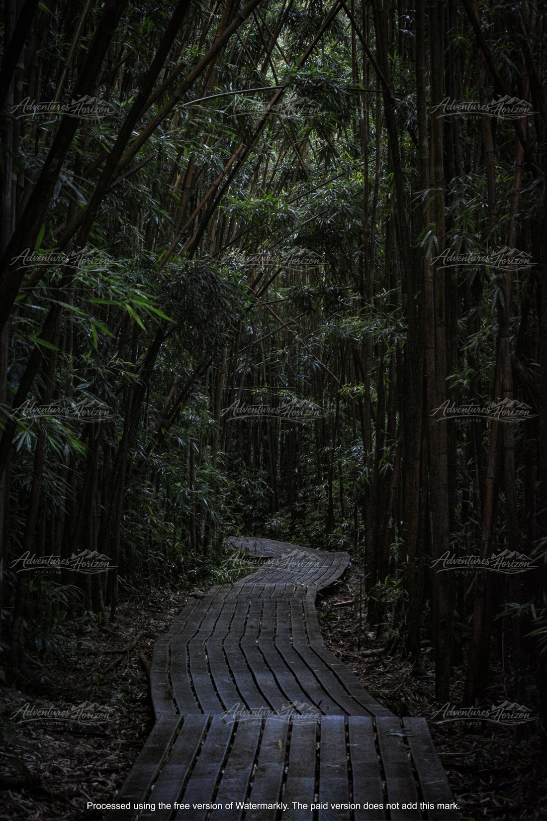 A Path Through Silence