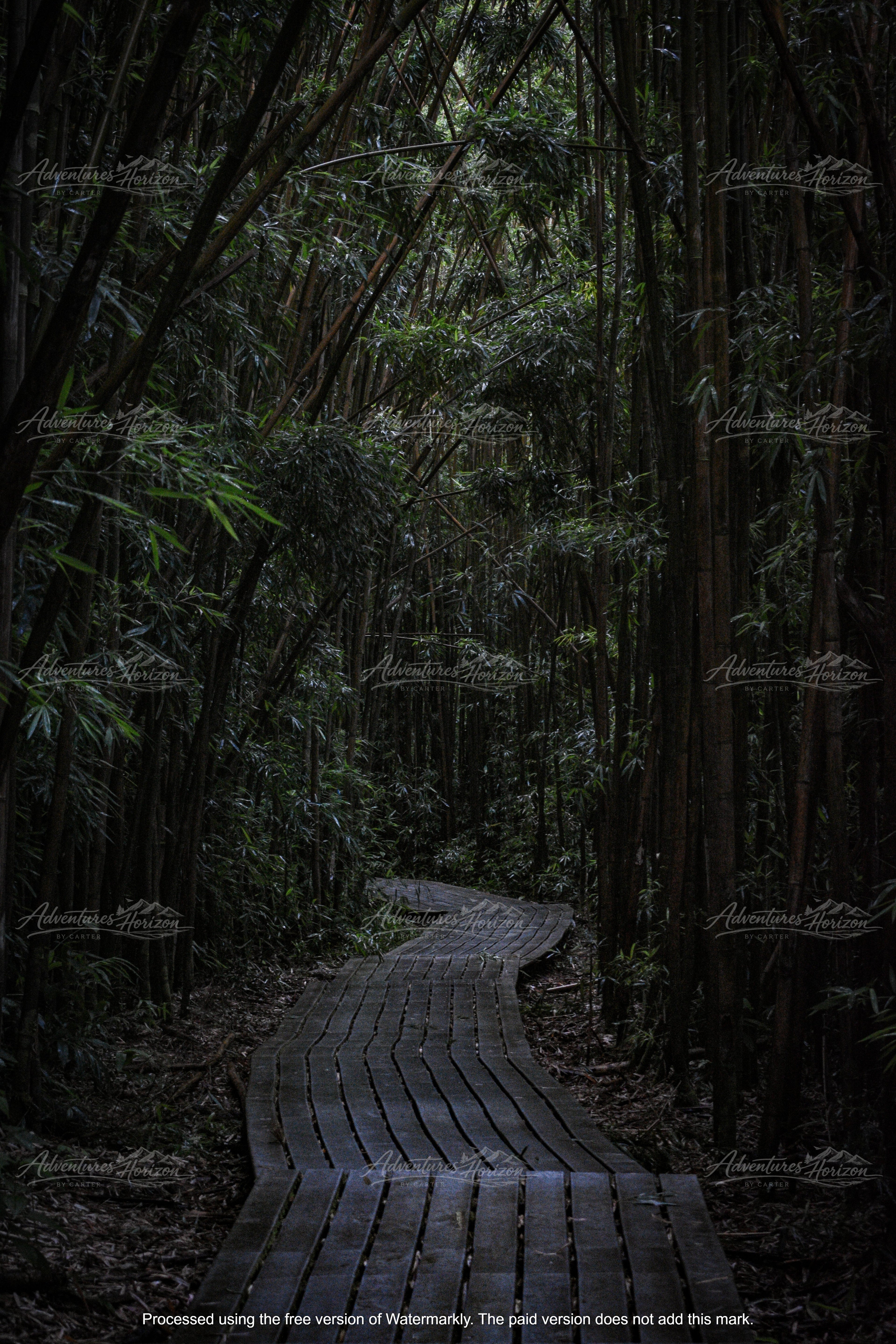 A Path Through Silence