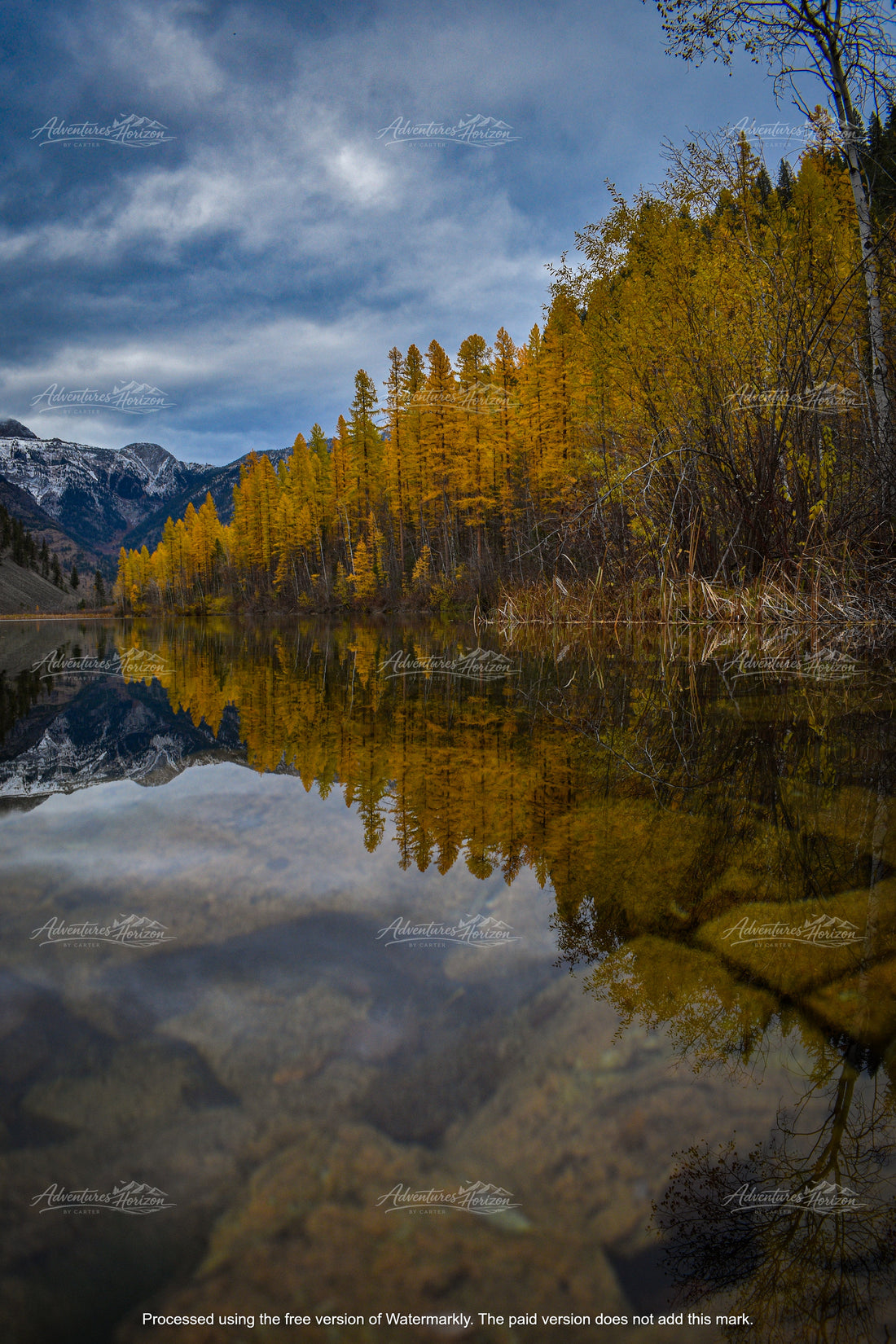 Reflecting on the Change of Season