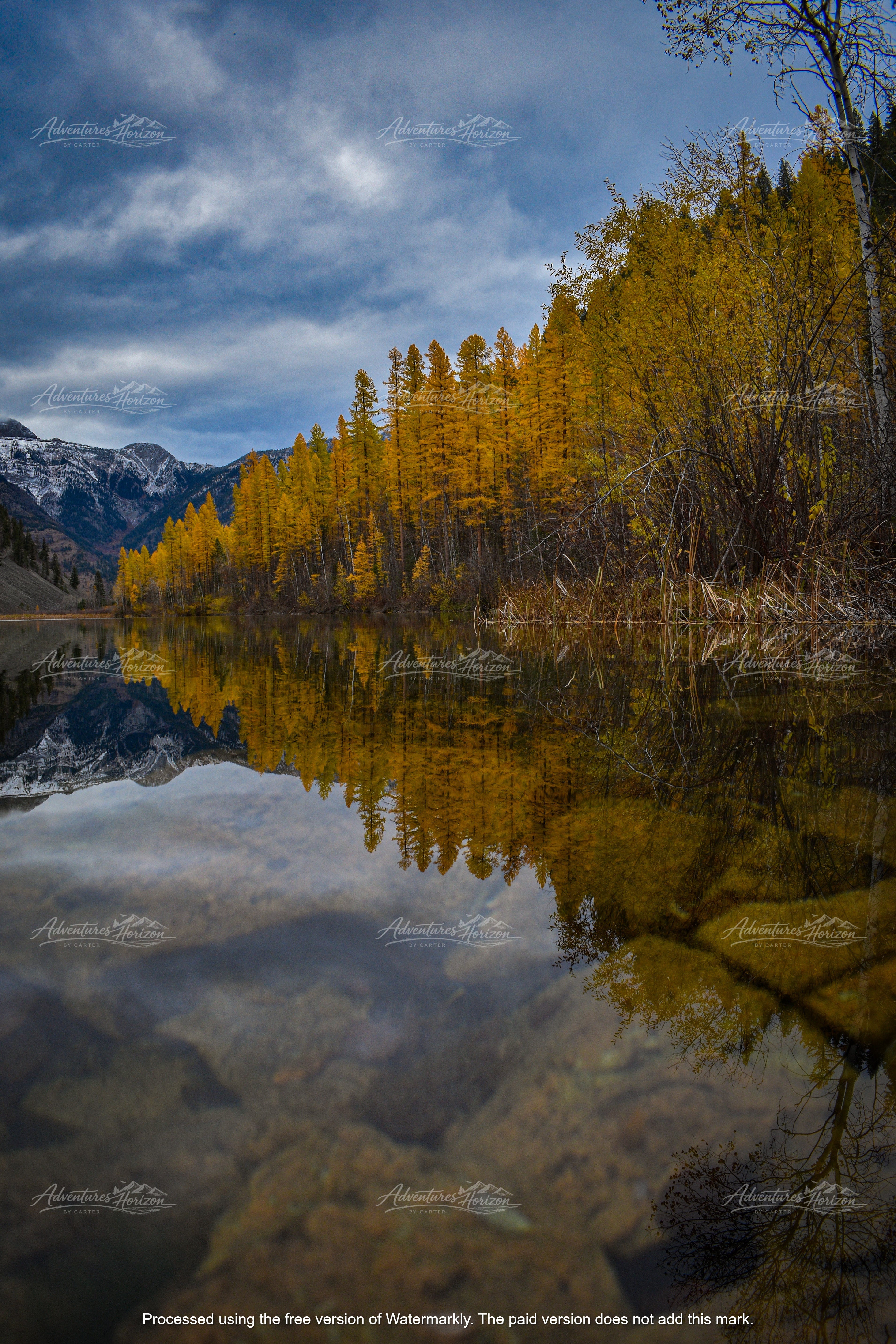Reflecting on the Change of Season