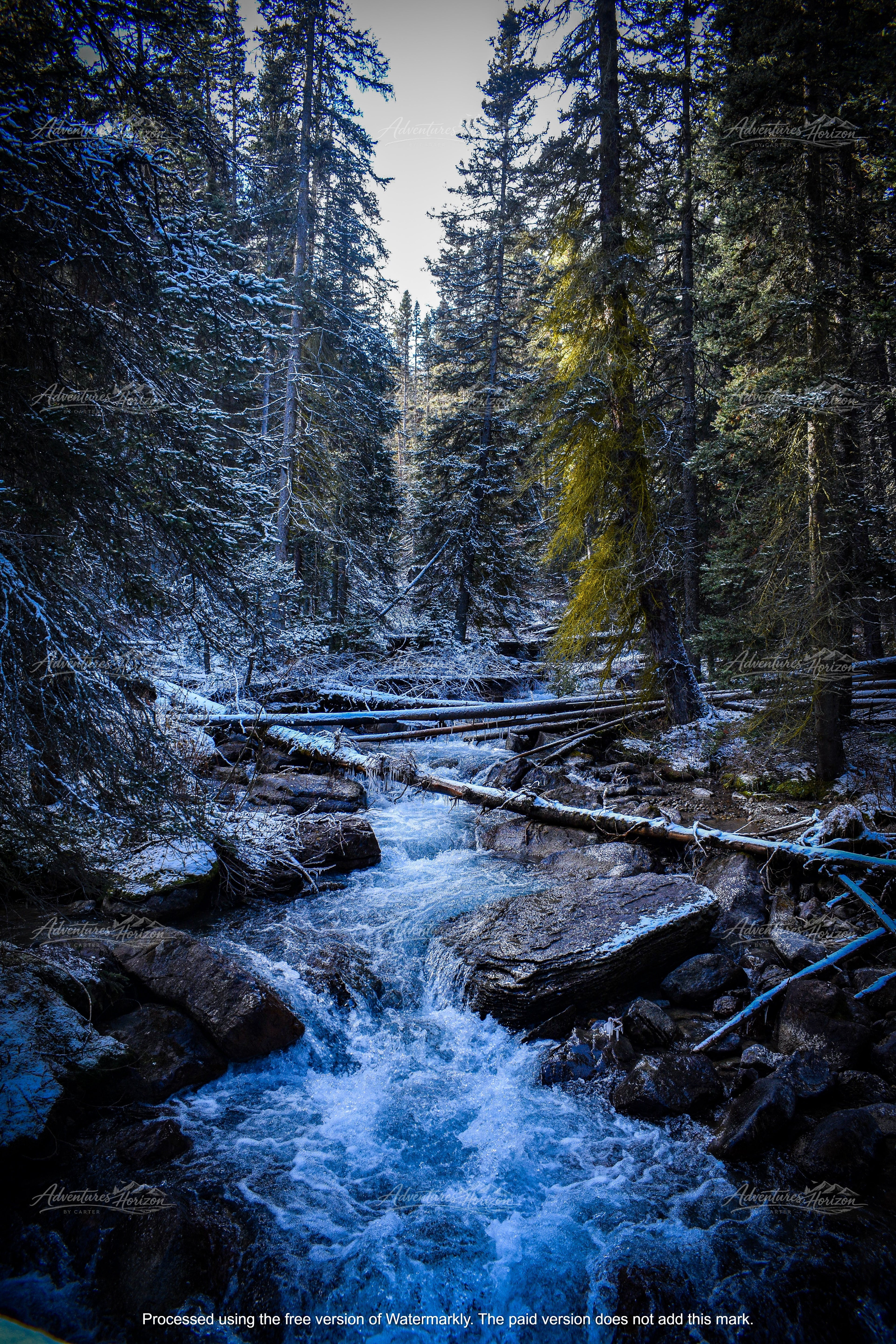 The Duality of Light