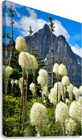 2746984 :: Giclée Stretched Canvas Print