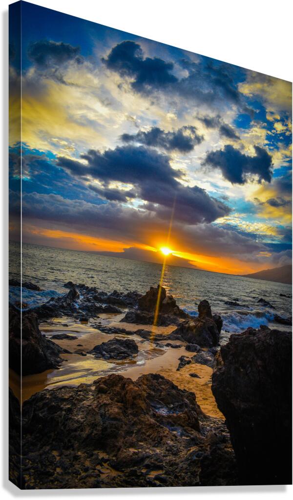 2632364 :: Giclée Stretched Canvas Print