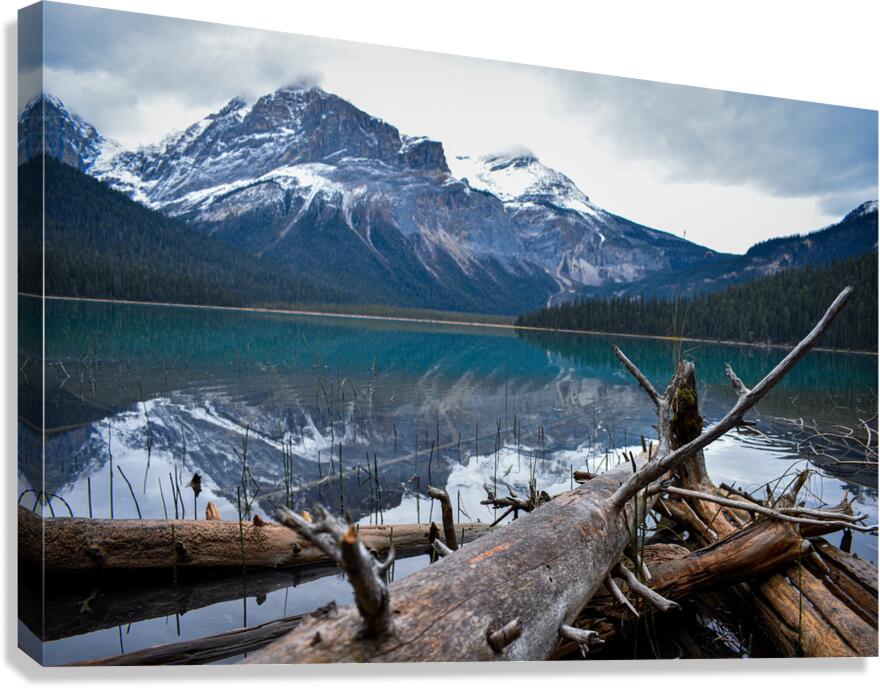 2632365 :: Giclée Stretched Canvas Print