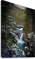 2632366 :: Giclée Stretched Canvas Print