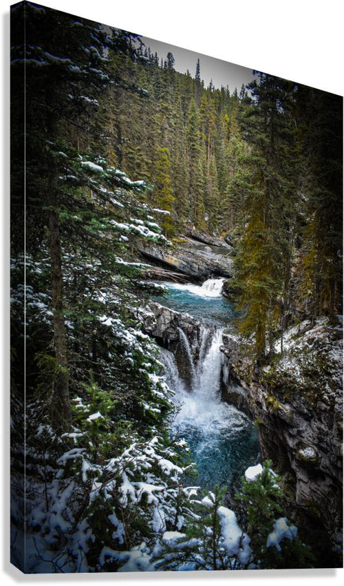 2632366 :: Giclée Stretched Canvas Print