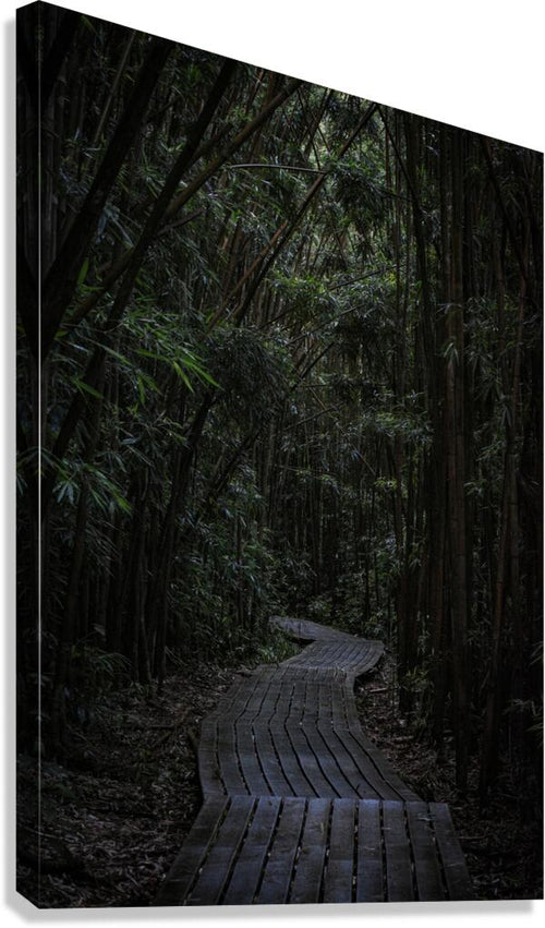 2632369 :: Giclée Stretched Canvas Print