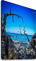2632373 :: Giclée Stretched Canvas Print