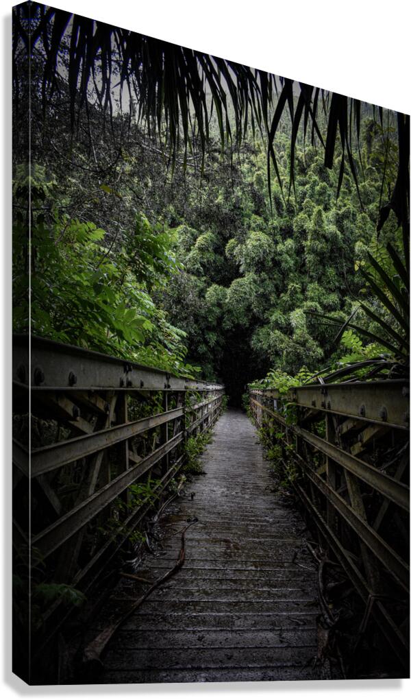 2632375 :: Giclée Stretched Canvas Print