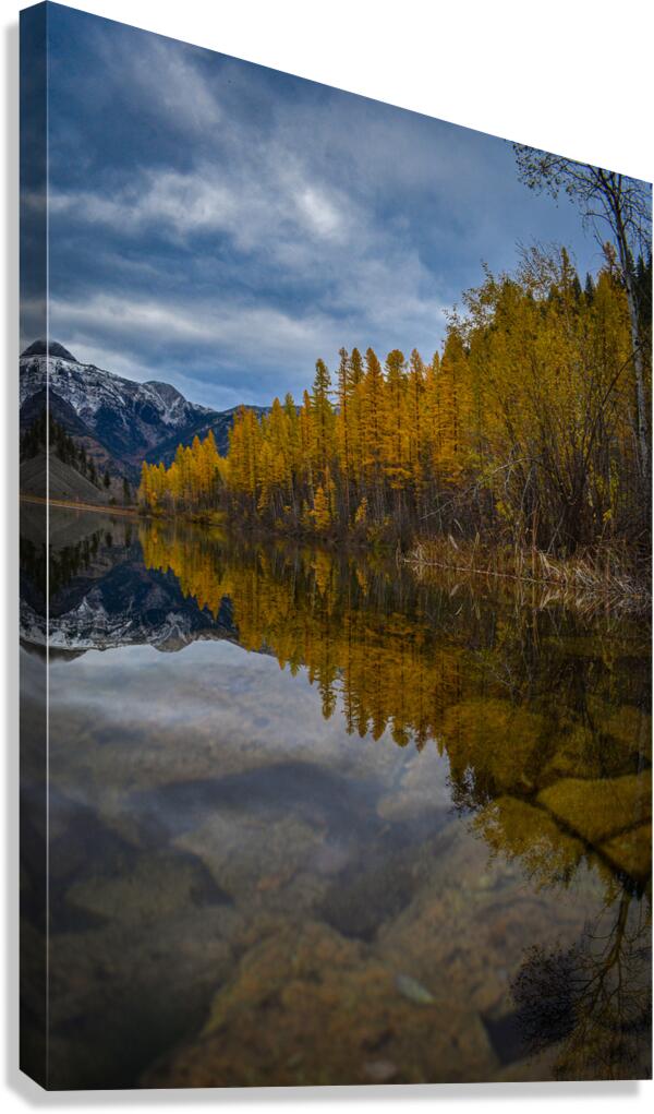 2632376 :: Giclée Stretched Canvas Print