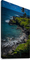 2632379 :: Giclée Stretched Canvas Print