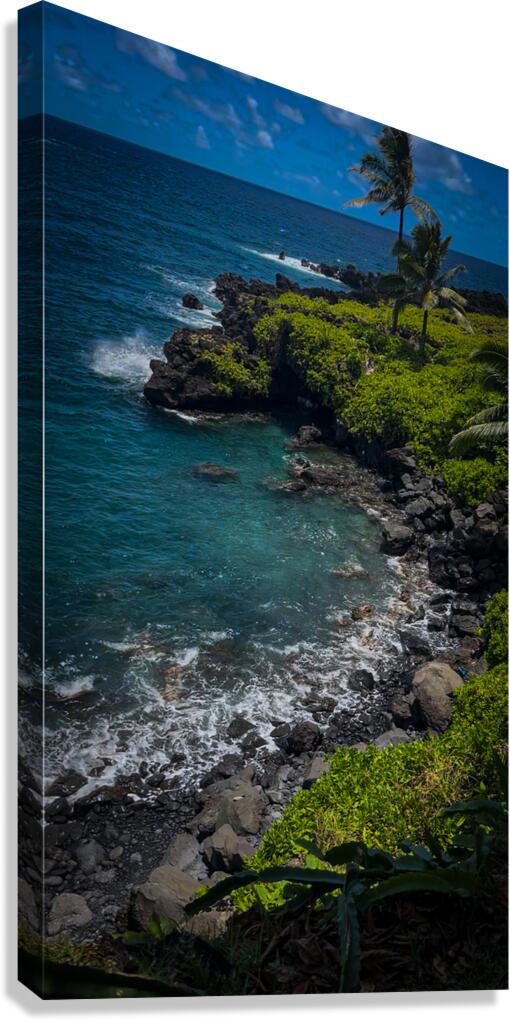 2632379 :: Giclée Stretched Canvas Print