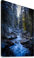 2632383 :: Giclée Stretched Canvas Print