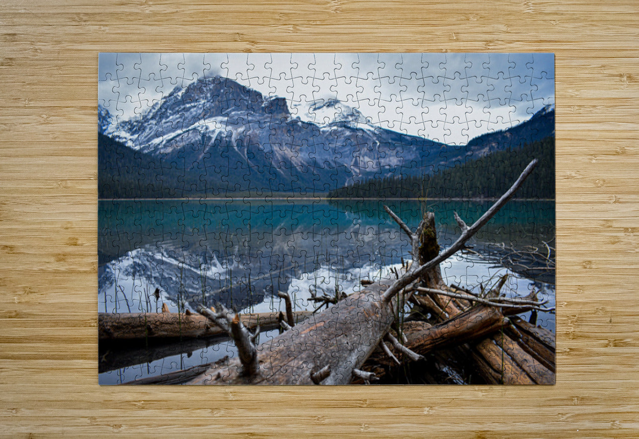 2632365 :: Puzzle Print