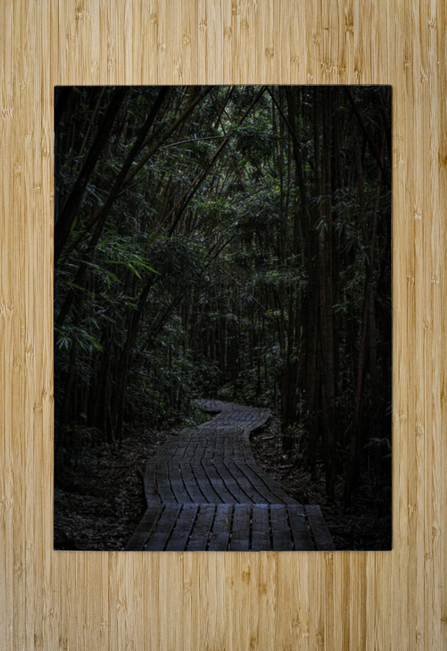2632369 :: Puzzle Print
