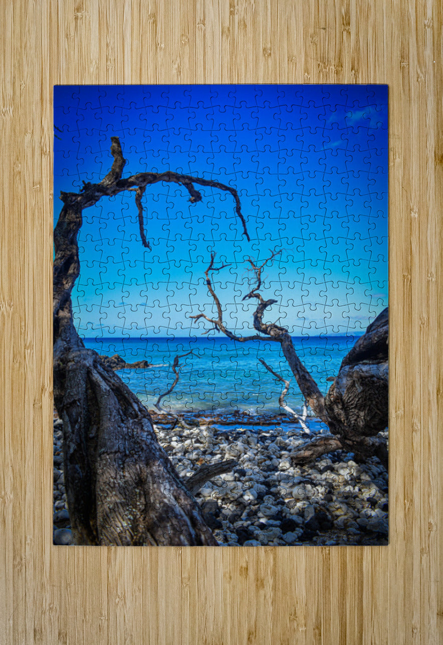 2632373 :: Puzzle Print