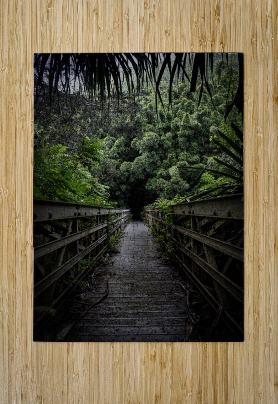 2632375 :: Puzzle Print