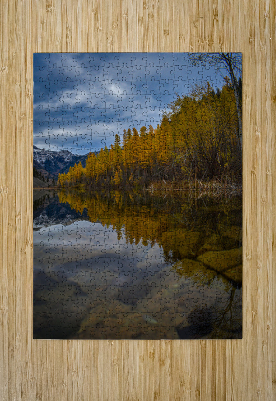2632376 :: Puzzle Print