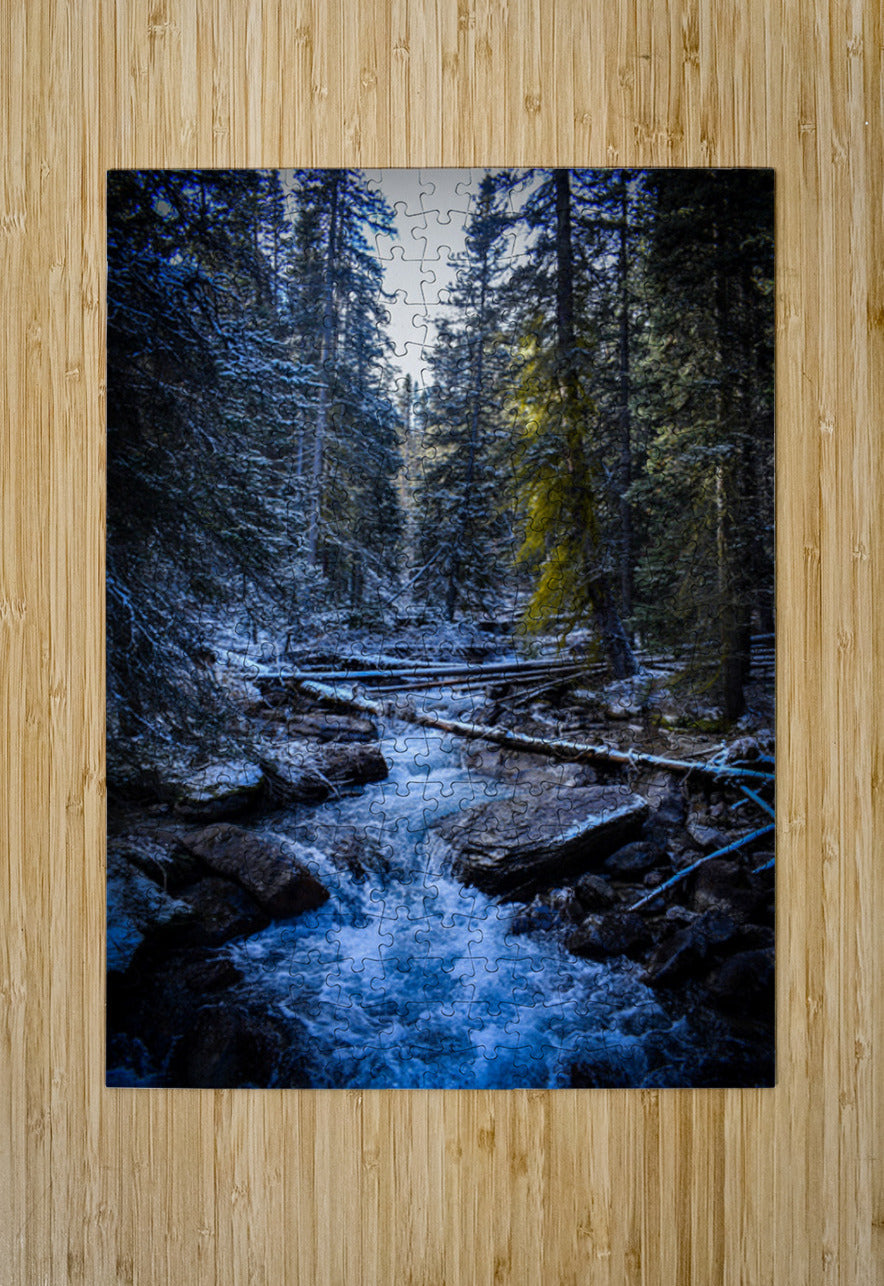 2632383 :: Puzzle Print