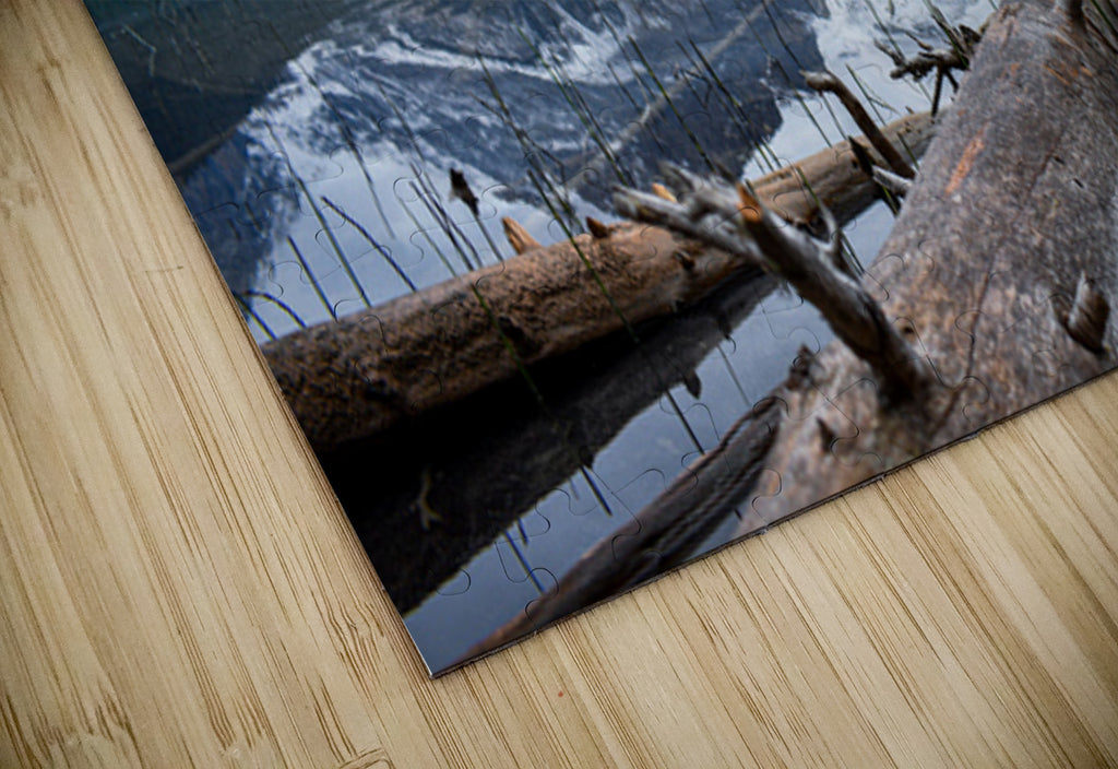2632365 :: Puzzle Print