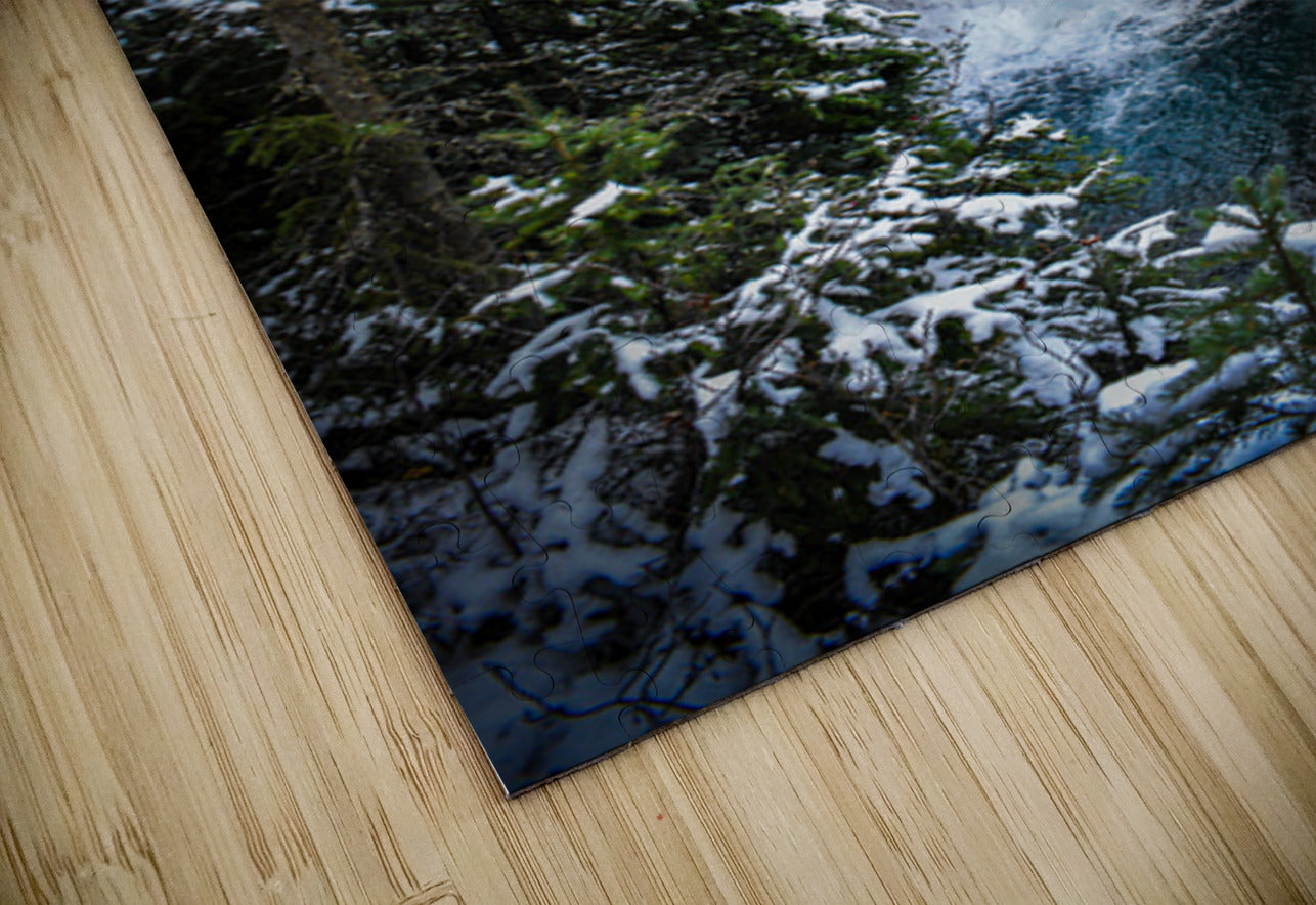 2632366 :: Puzzle Print