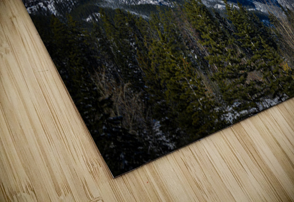 2632385 :: Puzzle Print