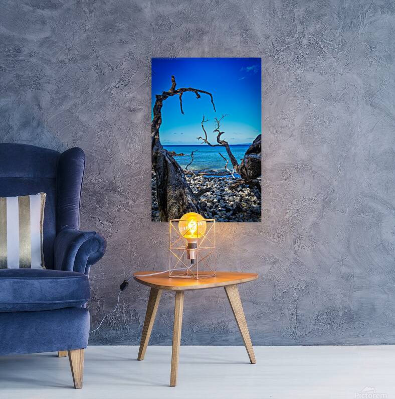 2632373 :: Giclée Stretched Canvas Print