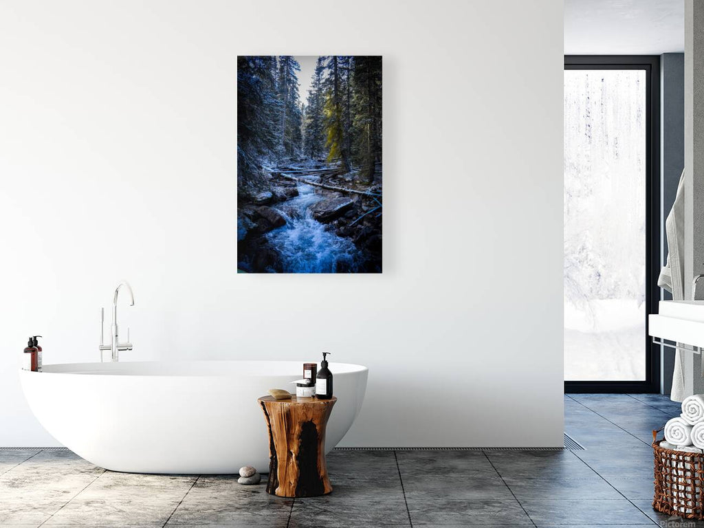2632383 :: Giclée Stretched Canvas Print